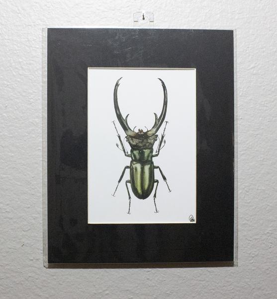 Stag Beetle Print picture