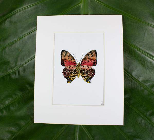 Shining Red Charaxes Butterfly Print picture