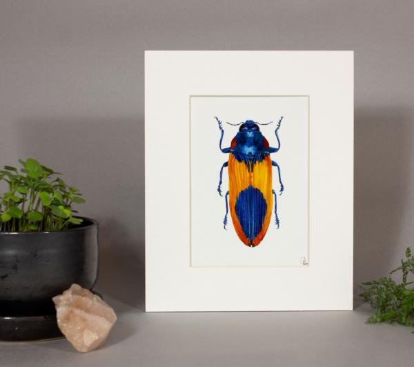 Jewel Beetle Print