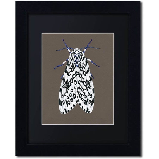 Giant Leopard Moth Print