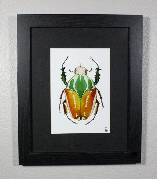 Ugandan Goliath Beetle Print picture