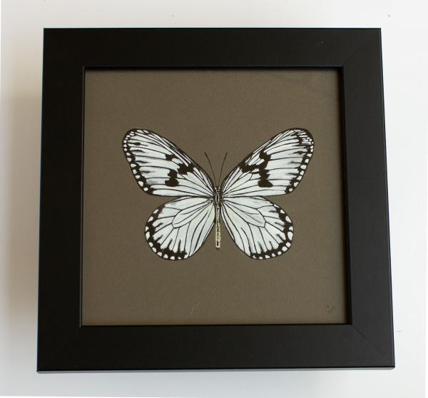 Rice Paper Butterfly Painting picture