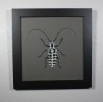 Cottonwood Borer Beetle Original Painting
