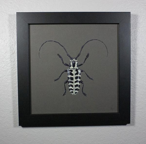 Cottonwood Borer Beetle Original Painting picture