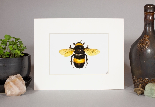 Bumblebee Print picture