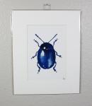 Metallic Beetle Print Blue Print