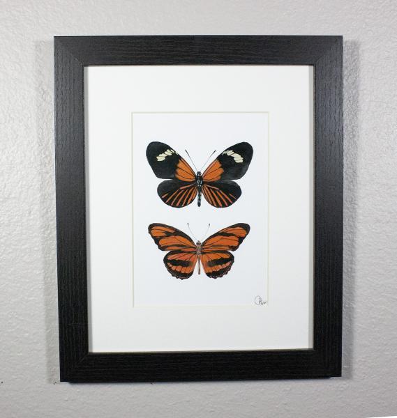 Orange Tiger/Longwing Butterfly Artwork, Butterfly Print Framed