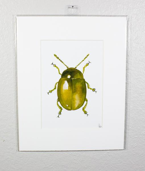 Metallic Beetle Print Chartruese Print picture