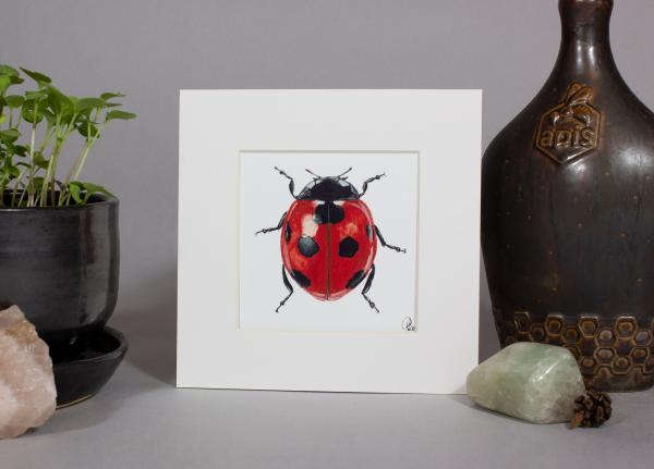 Ladybug Print picture