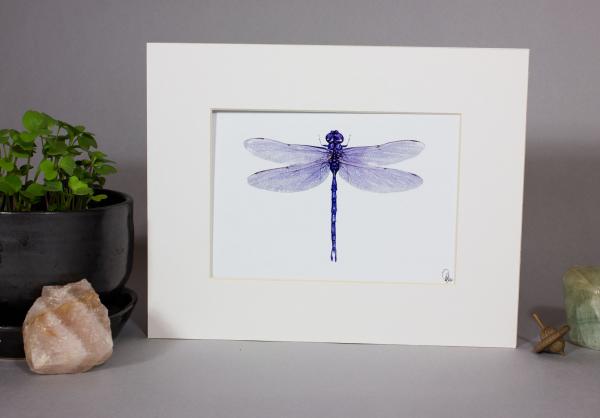 Purple Dragonfly Print picture