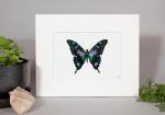 Indonesian Swallowtail Print