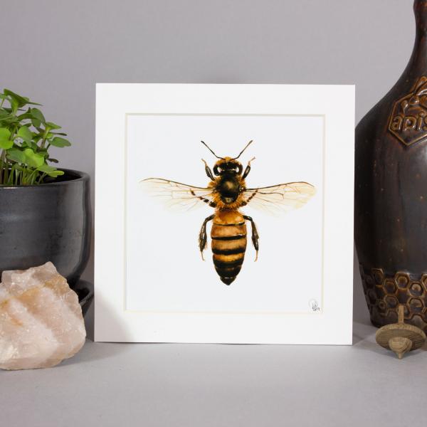 Honey Bee Print