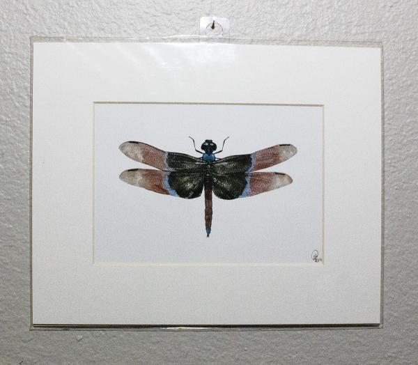Singaporean Dragonfly Prints