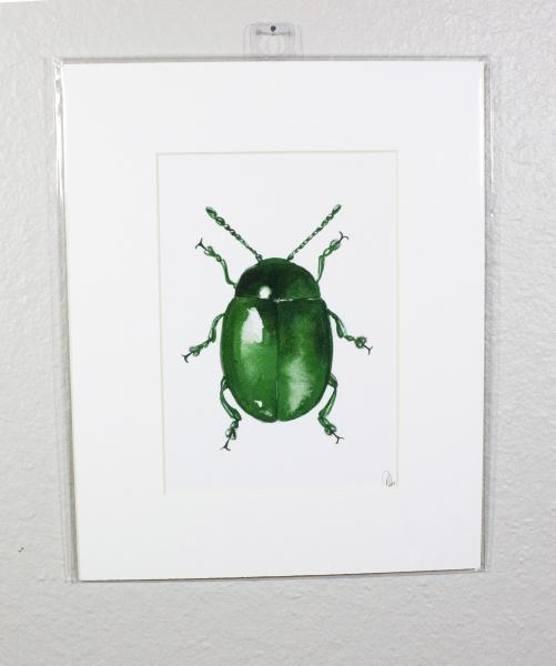 Metallic Beetle Print Green Print