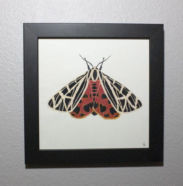 Tiger Moth Painting picture