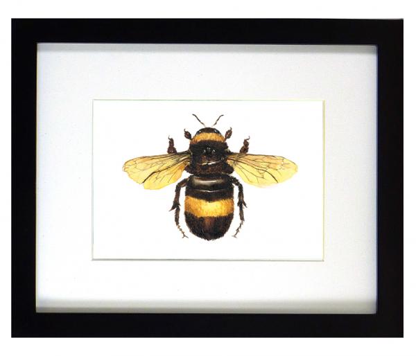 Bumblebee Print picture