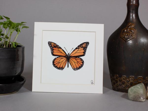 Monarch Butterfly Print picture