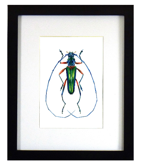 Longhorn Beetle Print picture