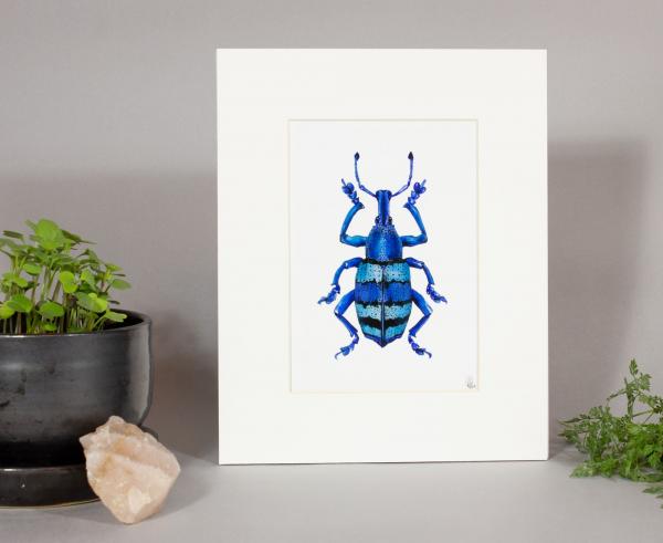 Smurf Weevil Print