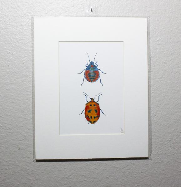 Harlequin Hibiscus Beetle Print picture