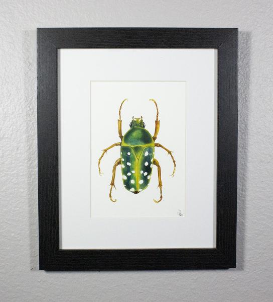 Flower Beetle Print picture