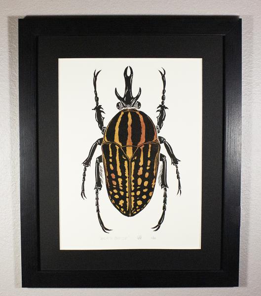 Linocut Goliath Beetle Framed