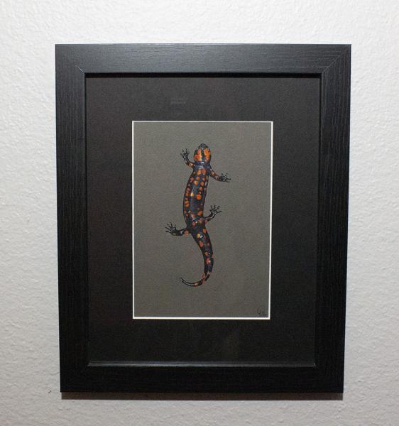 Spotted Salamandar Painting