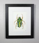 Flower Beetle Painting