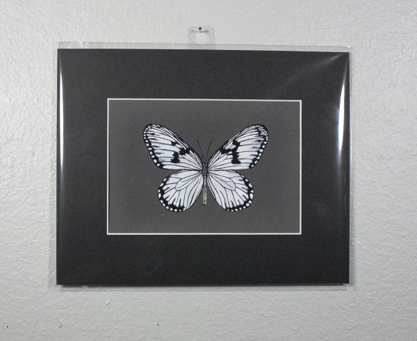 Rice Paper Butterfly Print