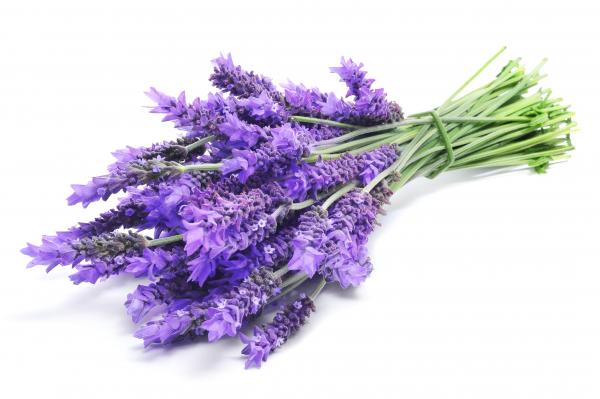 Lavender Infused Sea Salt