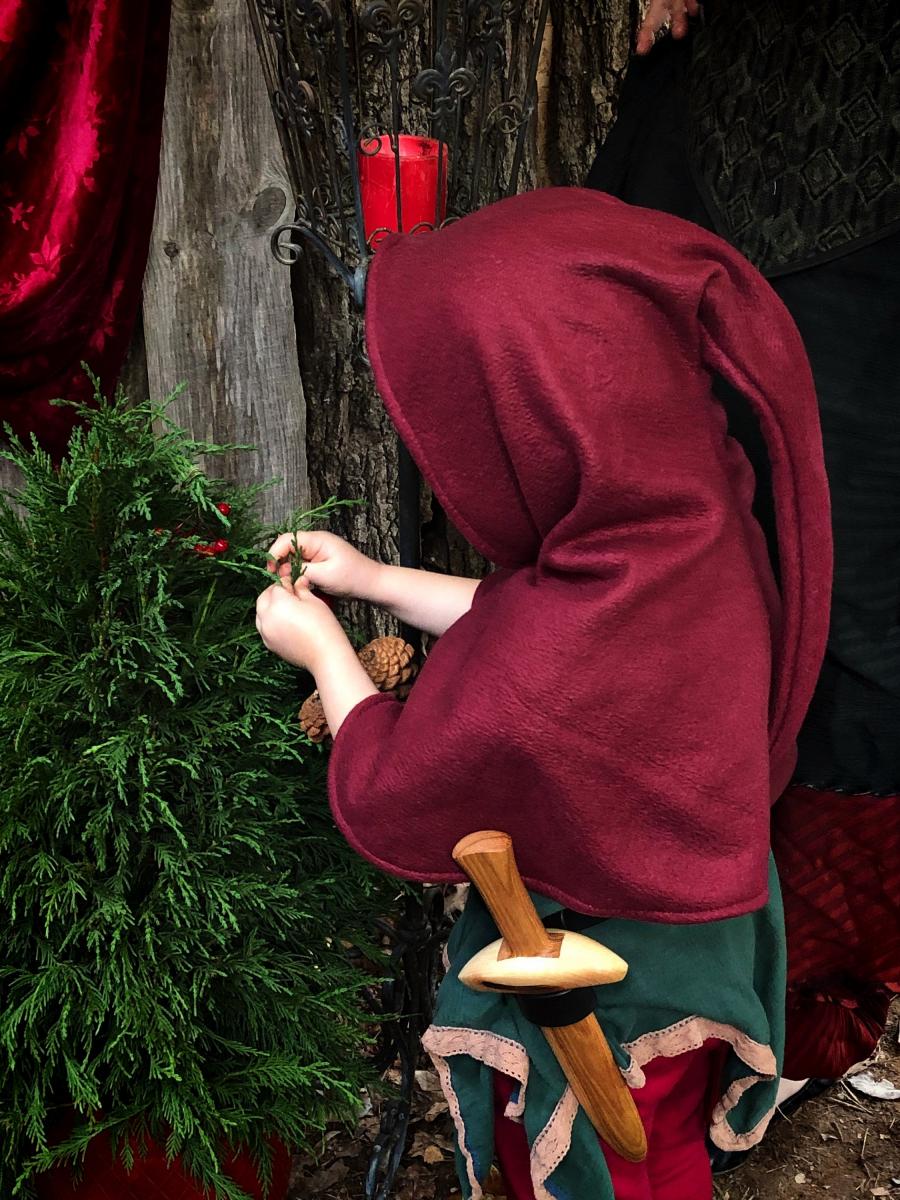 Bobbin's Frog picture