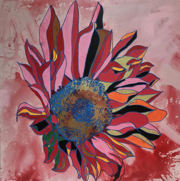 Pink Sunflower on Exploding Pink picture