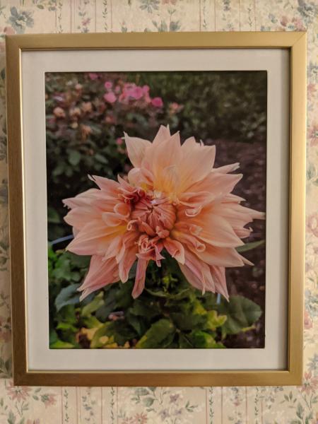 Fire Flower Print (8" x 10") picture