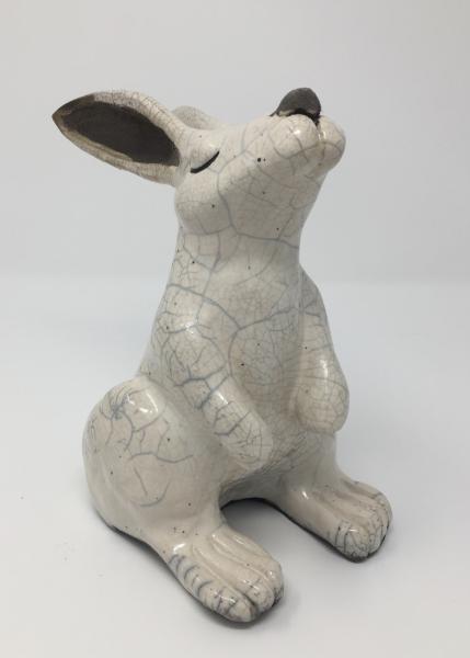 Crackle Rabbit picture