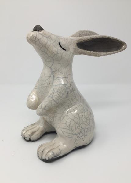 Crackle Rabbit picture