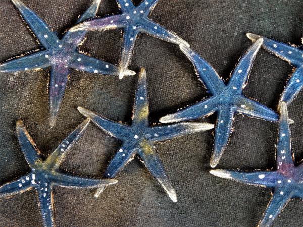 Galaxy Starfish - real picture