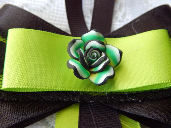 Lime and Black Ribbon picture