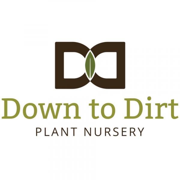 Down To Dirt Plant Nursery