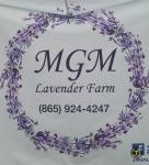 MGM Lavender Farm