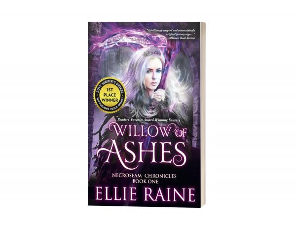 discontinuing cover - Willow of Ashes (NecroSeam Chronicles Book 1) picture