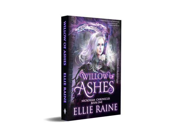 discontinuing cover - Willow of Ashes (NecroSeam Chronicles Book 1) picture