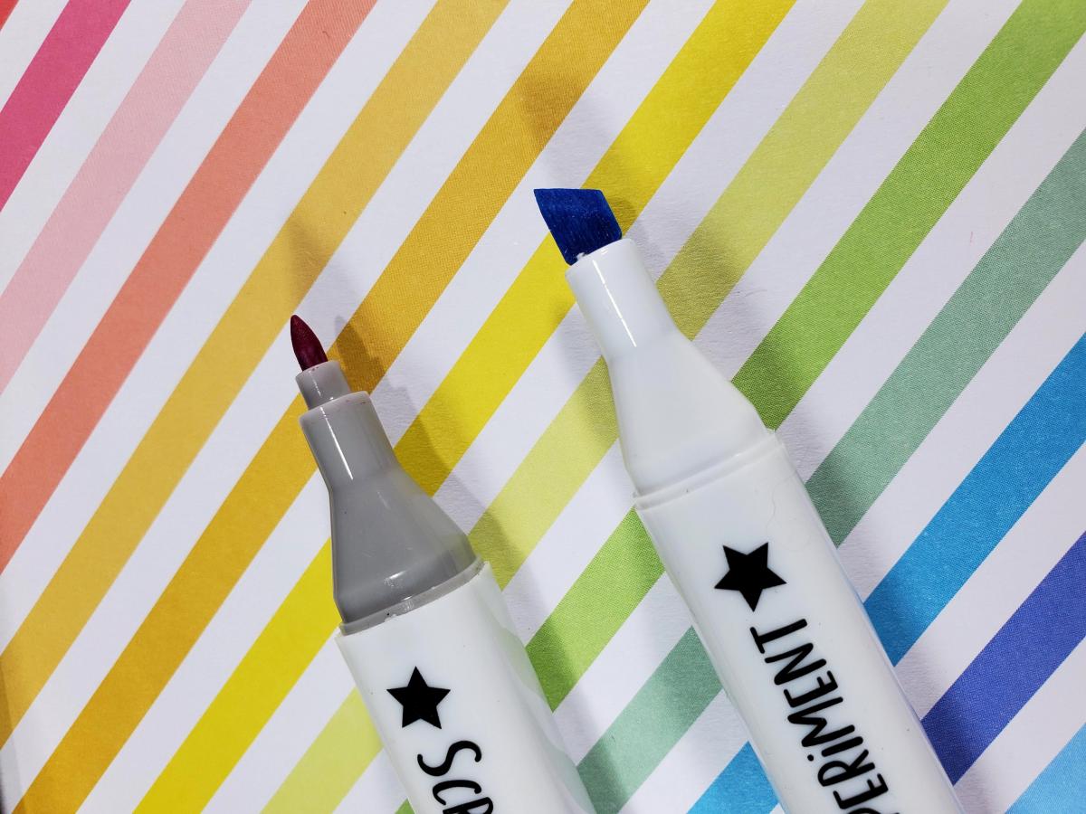 Scribbler Experiment Dual Tip Permanent Fabric Markers picture