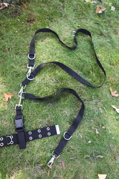 Multi Mode Leash