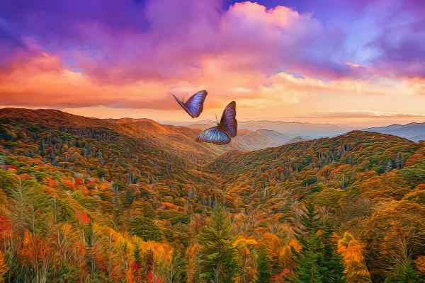 Butterflies Over Forest picture