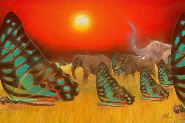 Elephants And Butterflies picture