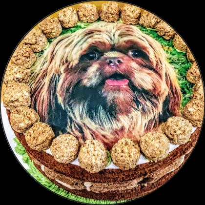 DOG CAKES picture