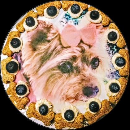 DOG CAKES picture