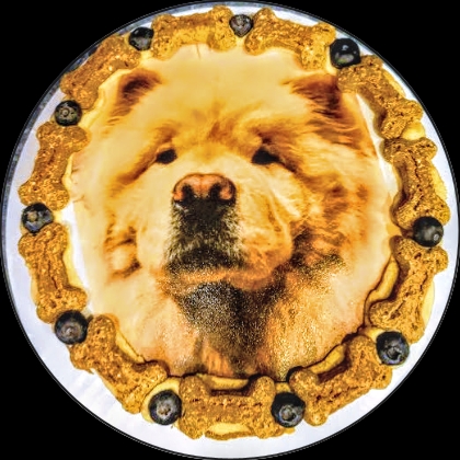 DOG CAKES picture