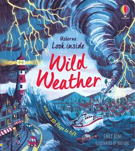 Look Inside Wild Weather picture