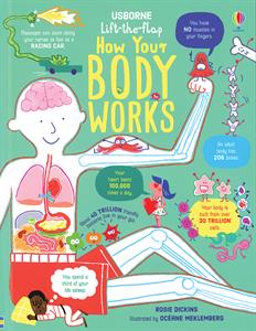 Lift-the-Flap How Your Body Works